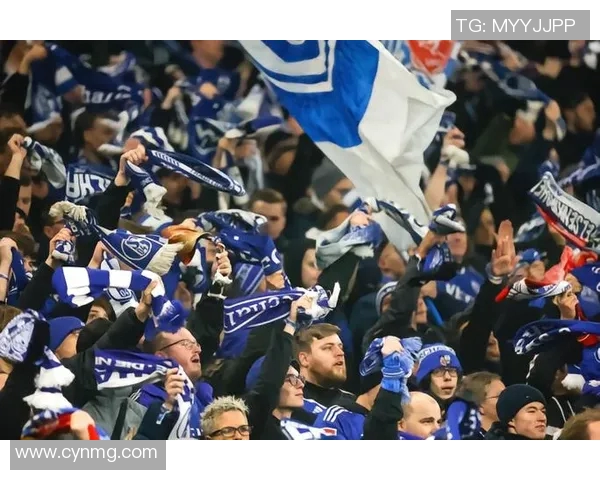 沙尔克04迎势头，德甲保级前景看涨